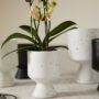 DeVil Pot – White – 4.5″